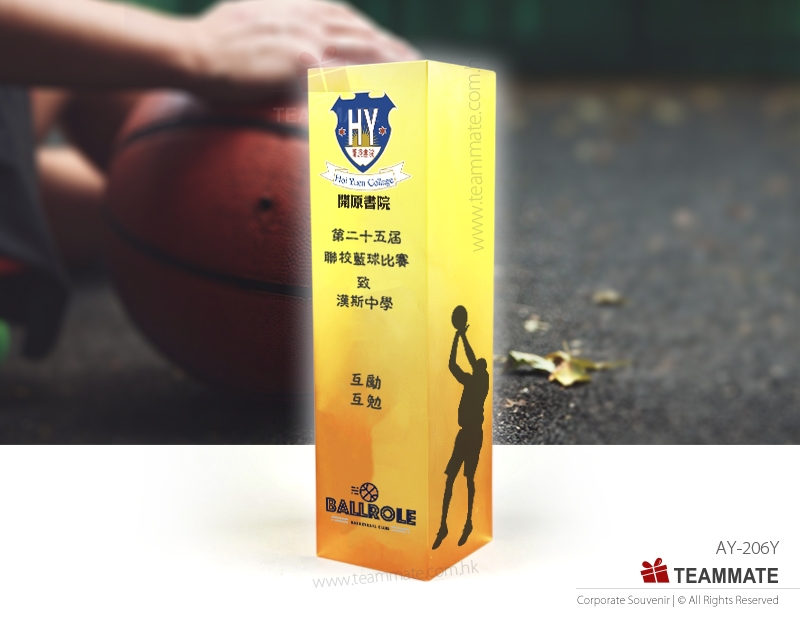 紀念獎座 ｜周年紀念獎座｜獎牌訂造｜周年慶典 Epoxy Resin Trophy Award 