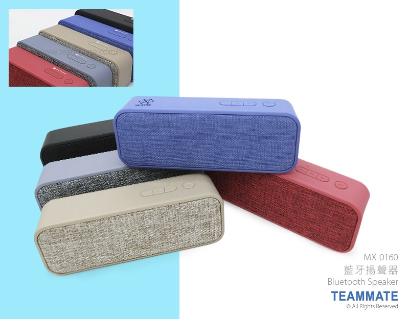 藍牙揚聲器 Bluetooth Speaker