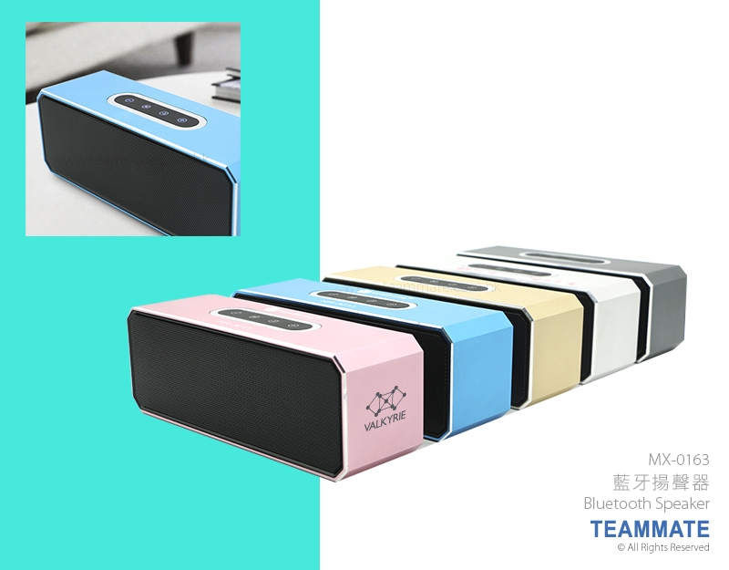 藍牙揚聲器 Bluetooth Speaker