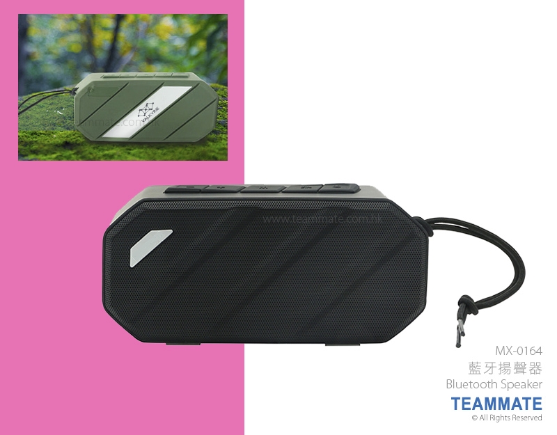 藍牙揚聲器 Bluetooth Speaker
