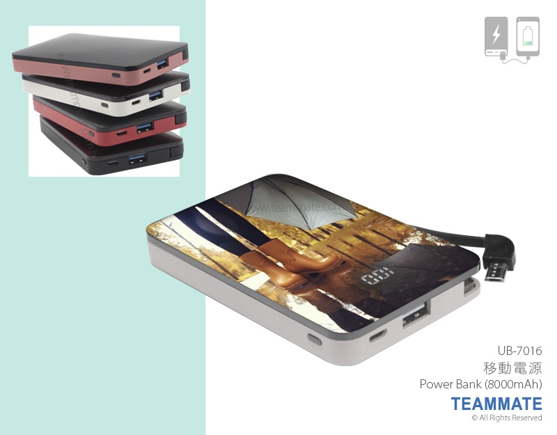 移動電源 Power Bank (8000mAh)