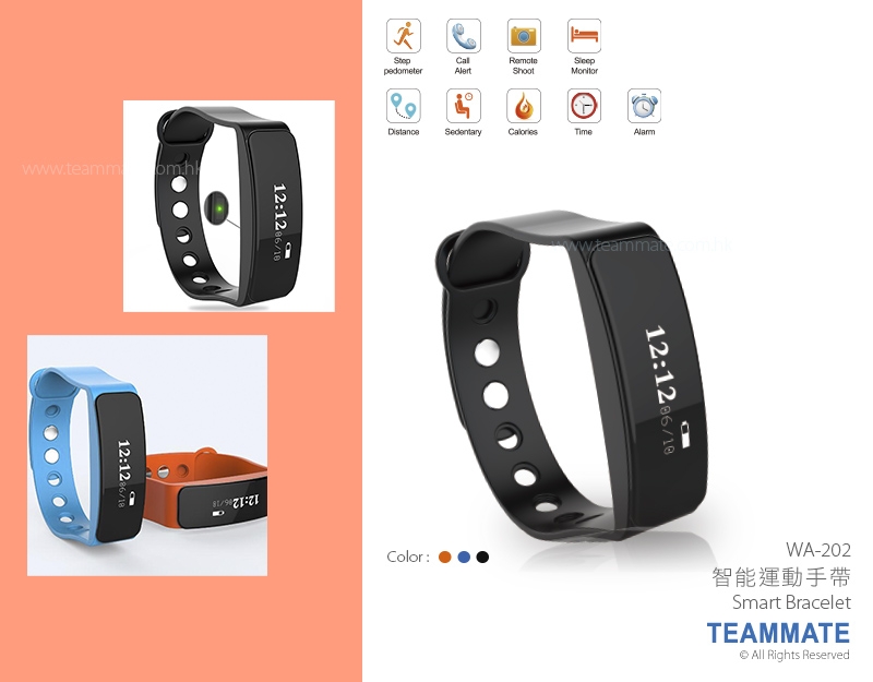 智能運動手帶 Smart Bracelet