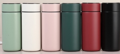 300ml Thermal Water Bottle   R1650