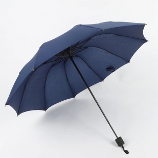 Folding Umbrella  R1747