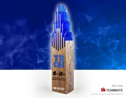 特色紀念獎座 ｜周年慶典｜水晶獎座 Wooden Trophy 