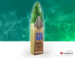 特色紀念獎座 ｜木製獎座｜獎座訂造 Wooden Trophy 