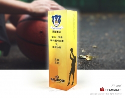 紀念獎座 ｜周年紀念獎座｜獎牌訂造｜周年慶典 Epoxy Resin Trophy Award 