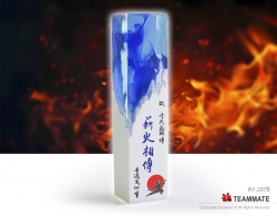 紀念獎座 ｜獎座頒發｜周年紀念｜塑料獎座 Epoxy Resin Trophy Award 