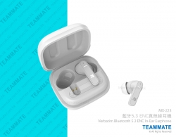 Verbatim 藍牙真無線藍牙耳機  Verbatim Earbuds 